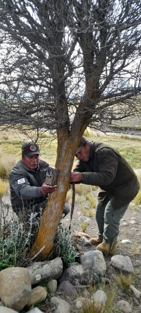 Foto: Omar Torrico